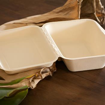 Bagasse Clamshell