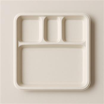 Bagasse Meal Plate