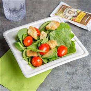 Bagasse Square Plate