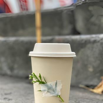 Glass With Sipper Lid