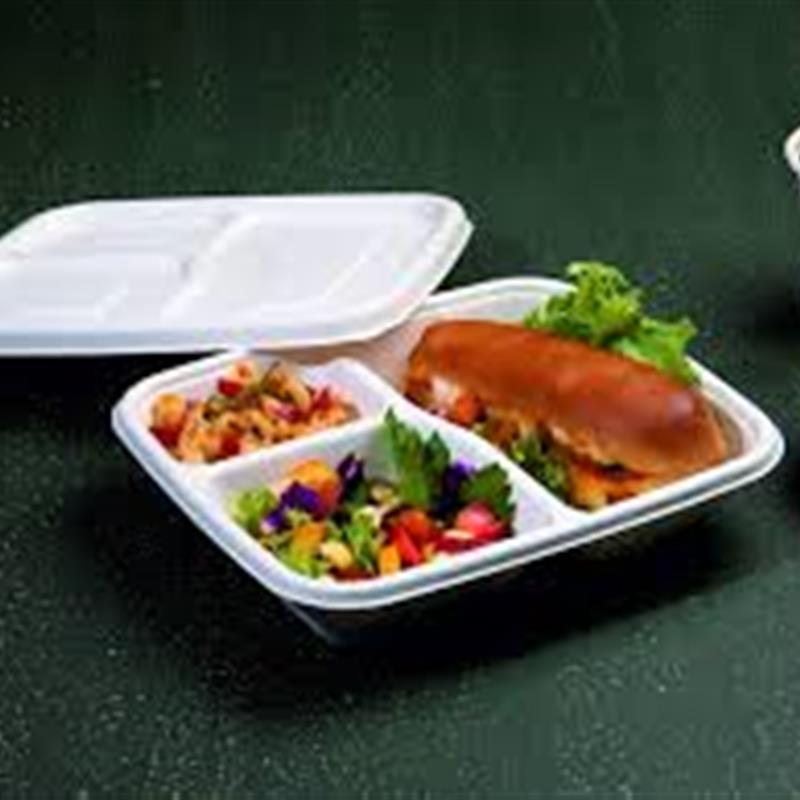 3-CP Kapaklı Yemek Tepsisi